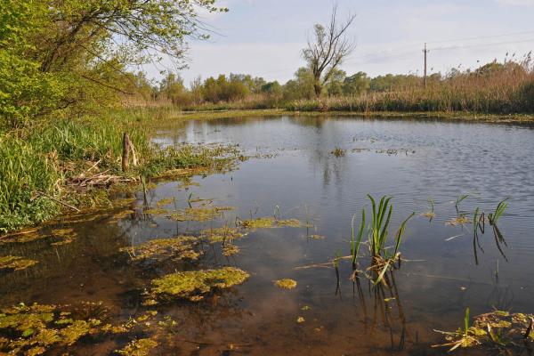 The Dnister Oxbow Lakes