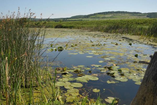 The National Nature Park “Halytskyi”
